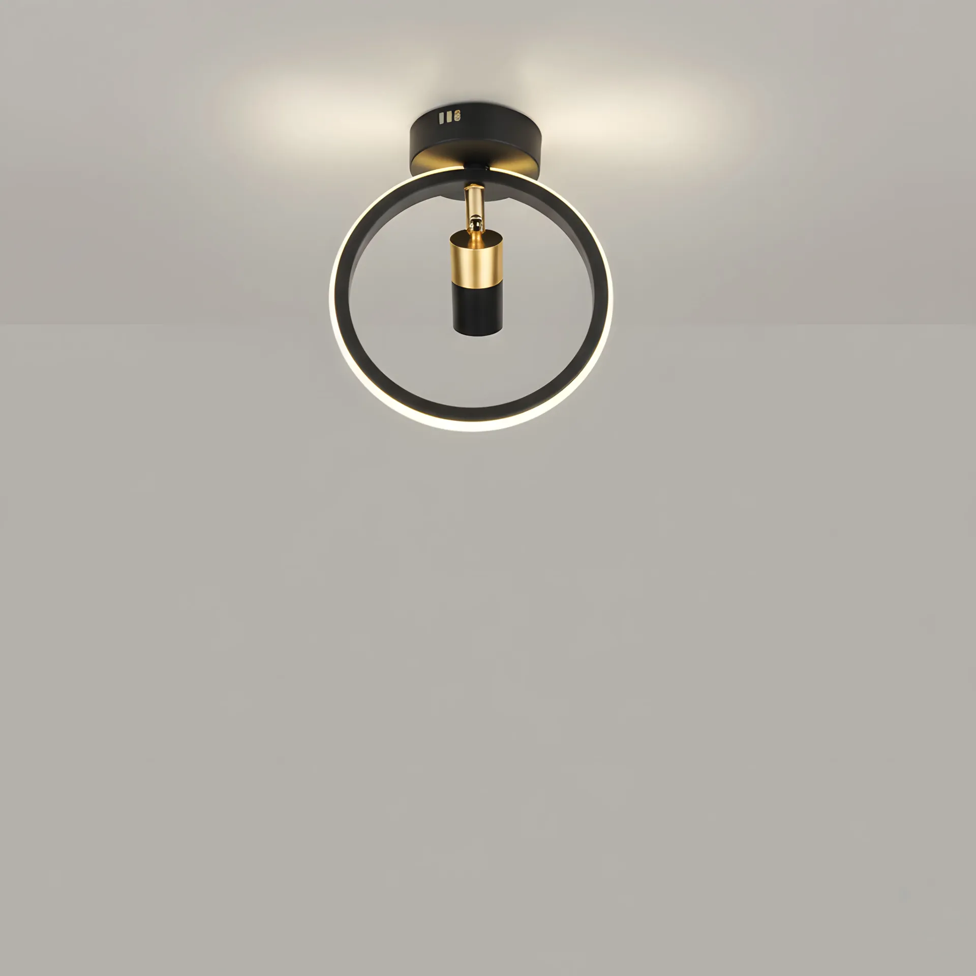 [AN-UR 100] The Bronze & Black Halo Ceiling Niche Light
